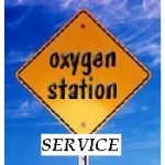 Jährliche Service-Kontrolle Ihres Saue..